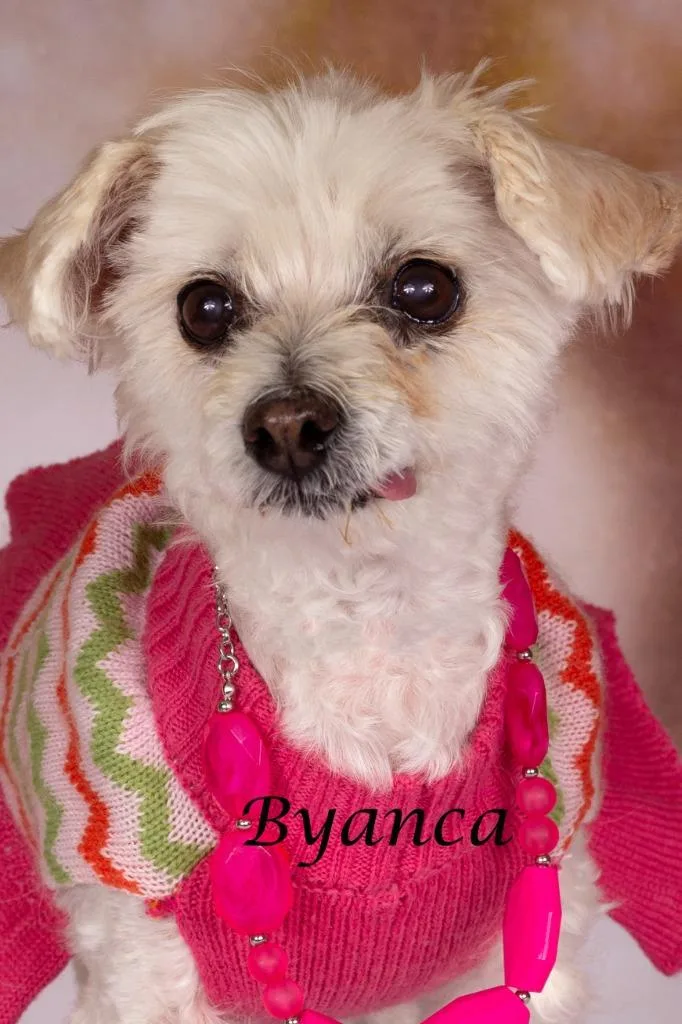 Byanca thumbnail 2