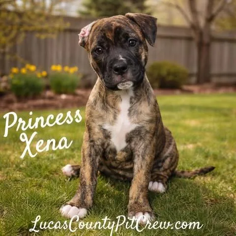 Princess Xena