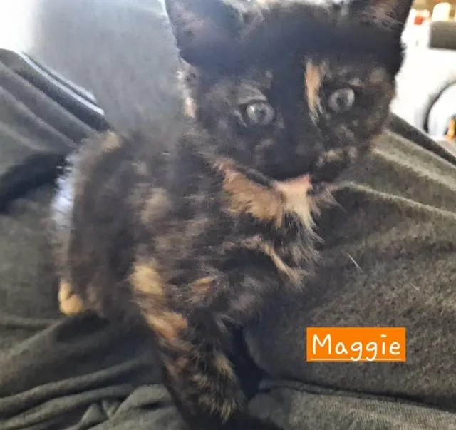 Maggie