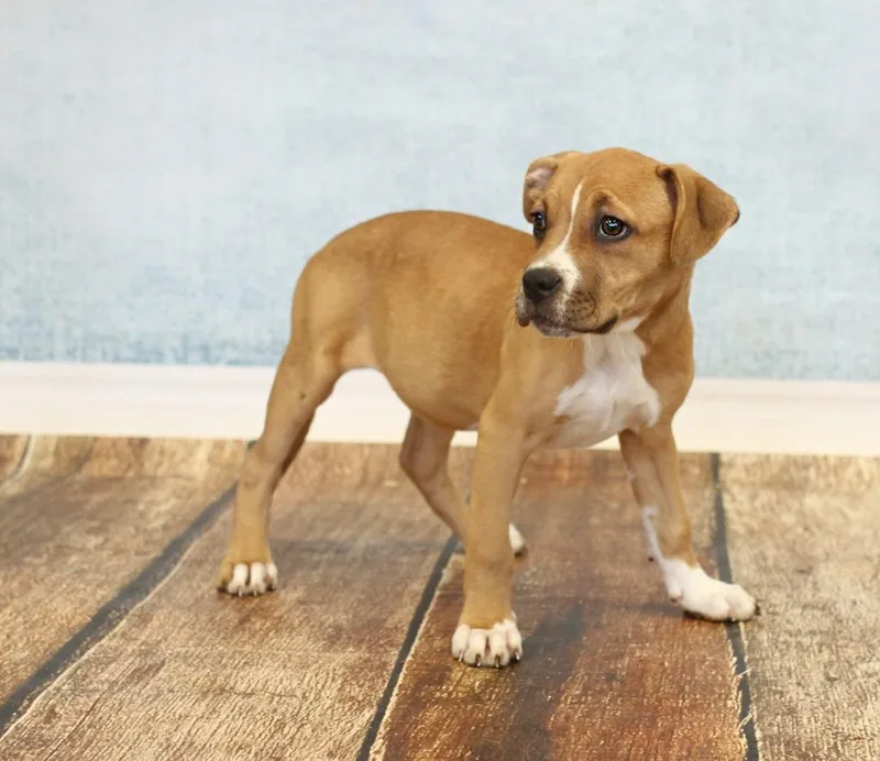 Snow White thumbnail 2