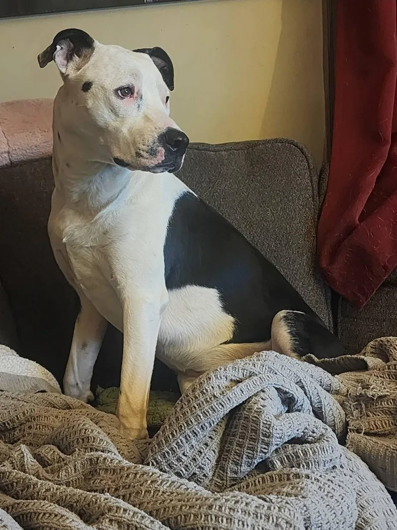 Penny Jean