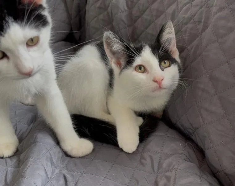 Pike & Maggie thumbnail 2