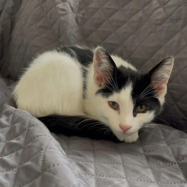 Pike & Maggie thumbnail 3