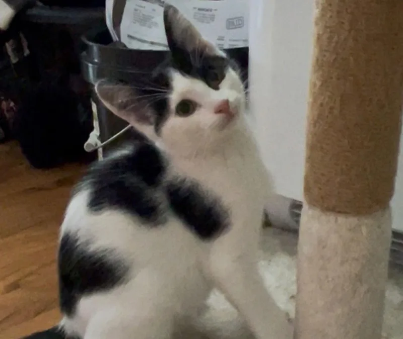 Pike & Maggie thumbnail 4