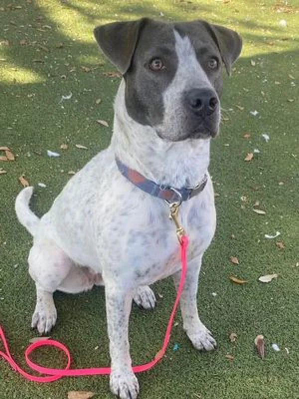 Sprinkles thumbnail 2