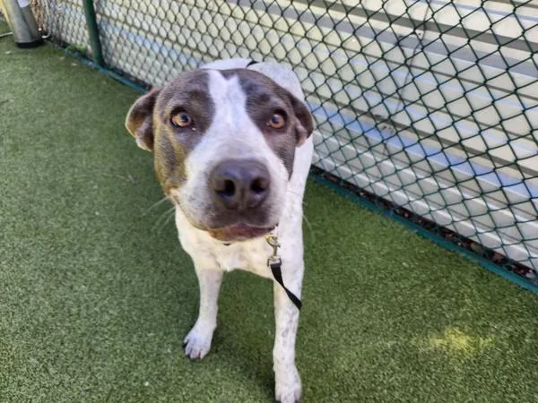 Sprinkles thumbnail 3