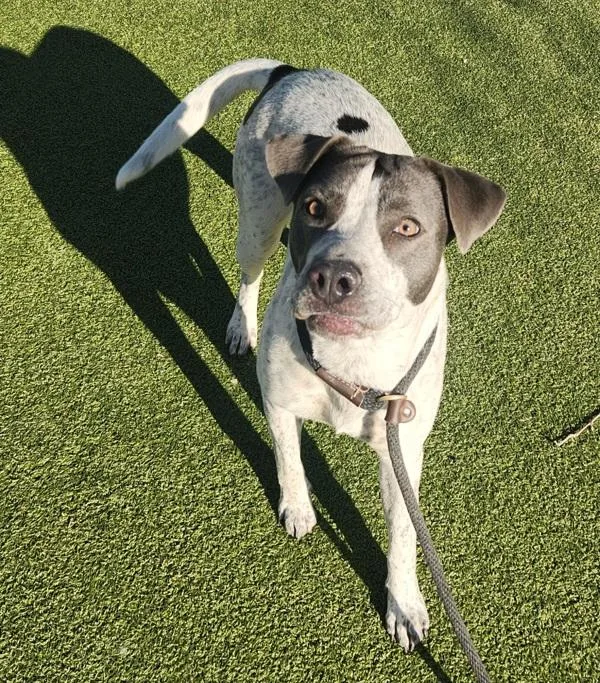 Sprinkles thumbnail 4