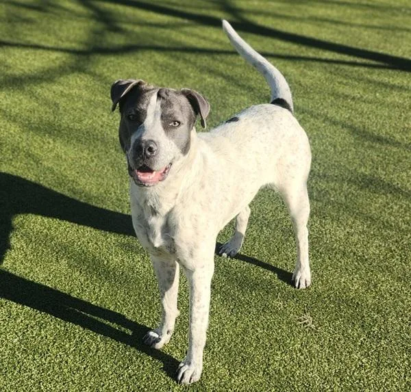 Sprinkles thumbnail 5