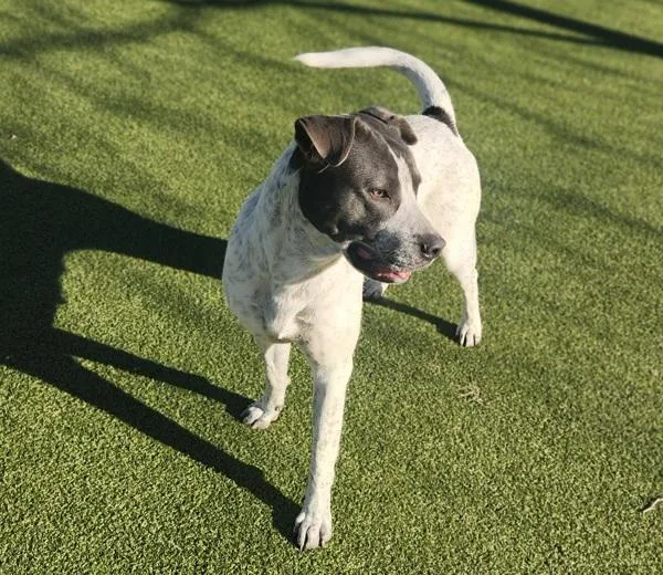 Sprinkles thumbnail 6