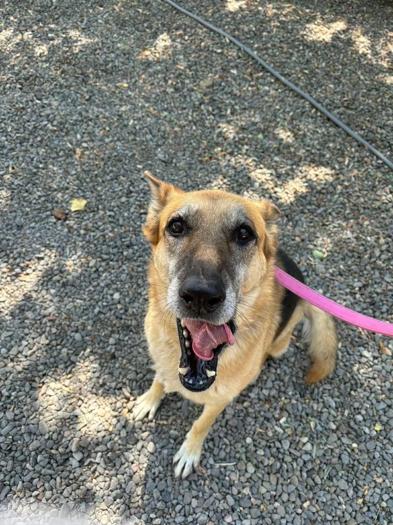 Pepsi Courtesy Listing