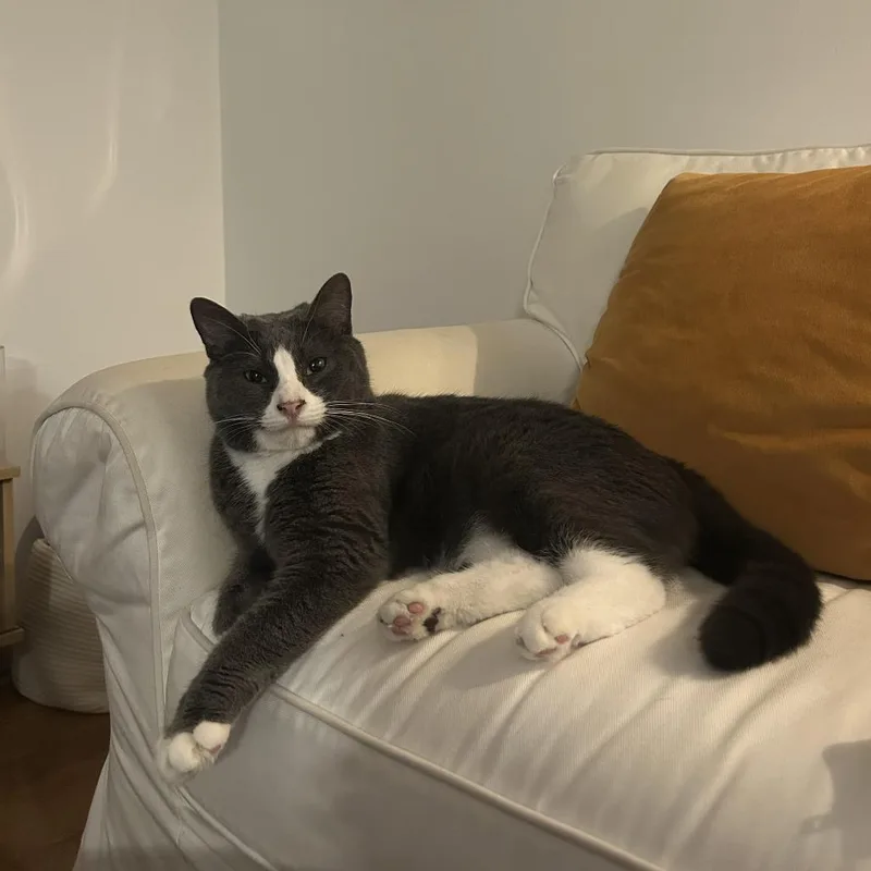 Bella Pepper thumbnail 6