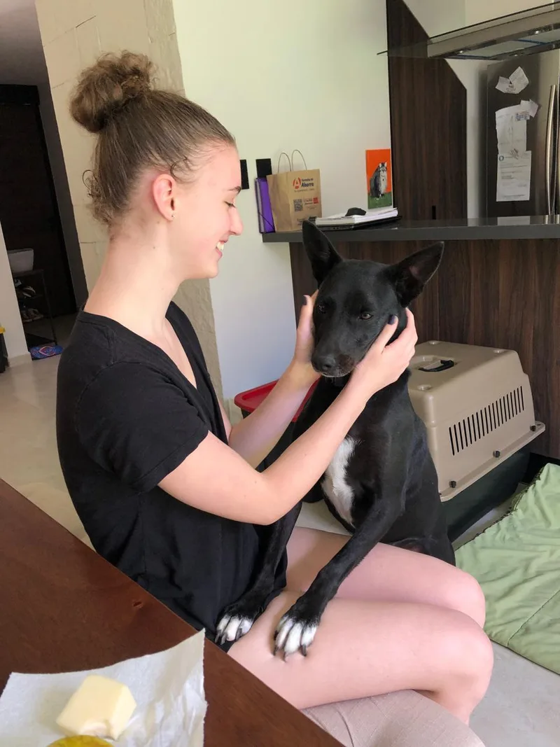 Paco thumbnail 3