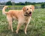 Ellie Mae thumbnail 2