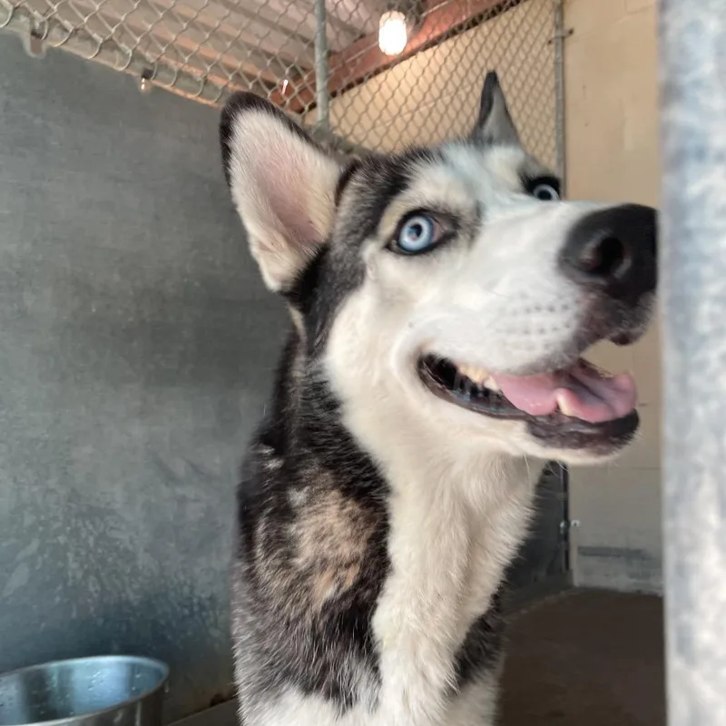 Virginia thumbnail 2