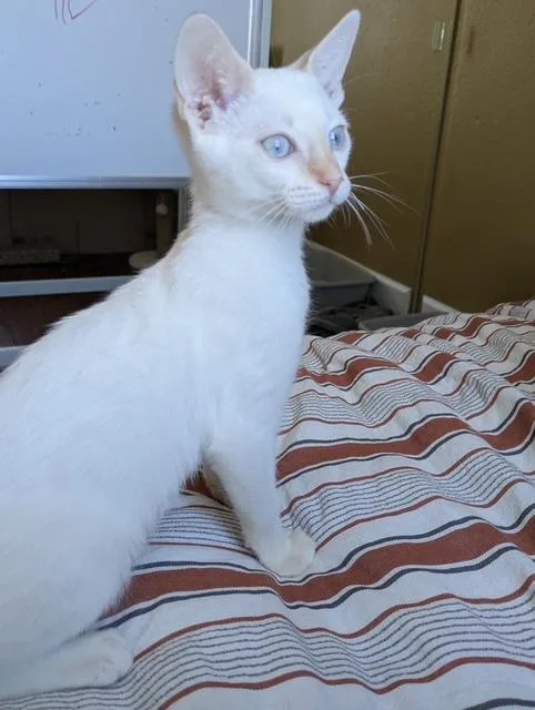 Chloe thumbnail 2