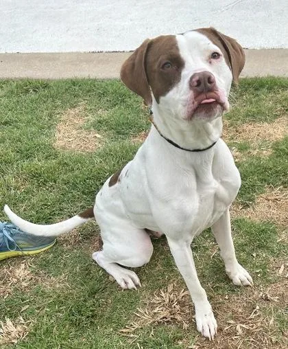 Terrance thumbnail 3