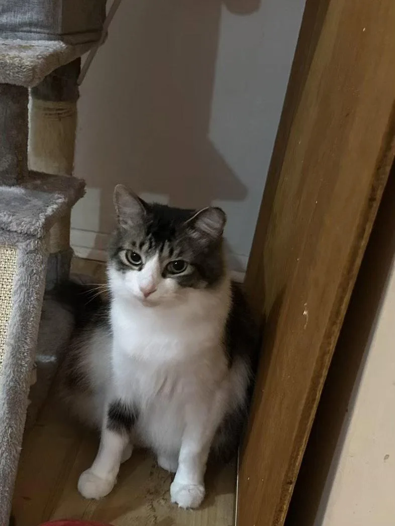 Max And Luna Bonded thumbnail 2