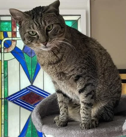 Lillian  `a Priority