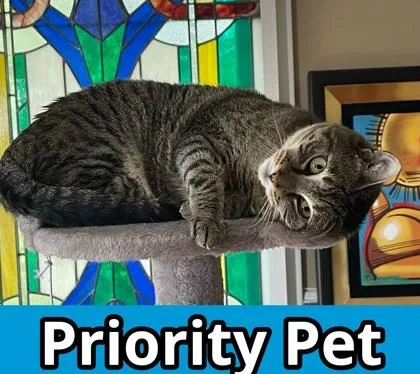 Lillian  `a Priority thumbnail 2