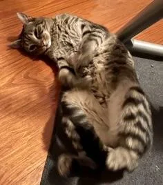 Lillian  `a Priority thumbnail 3