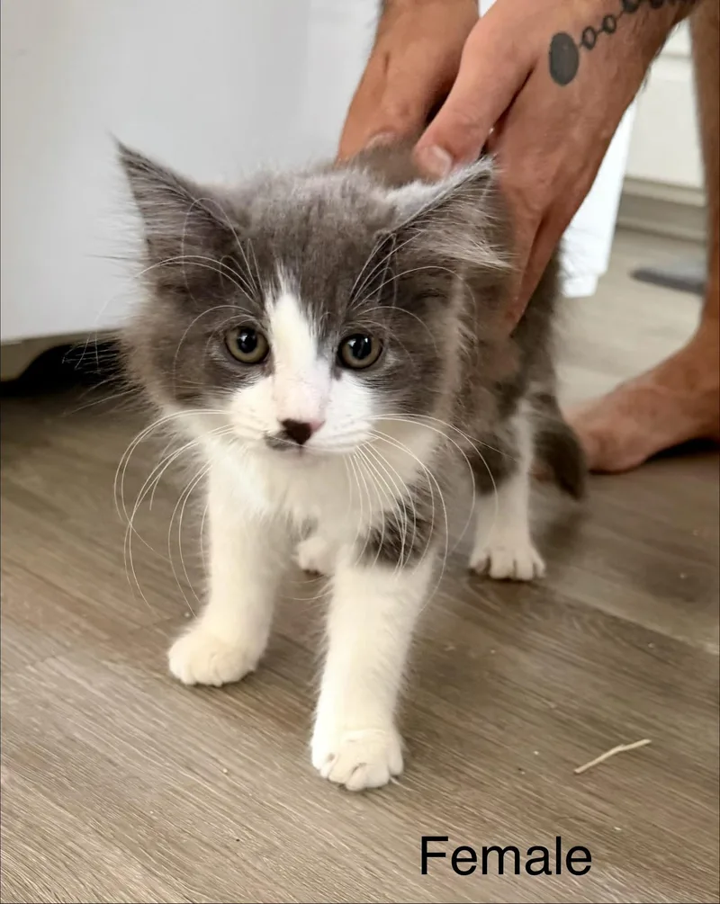 Jack & Jill thumbnail 2