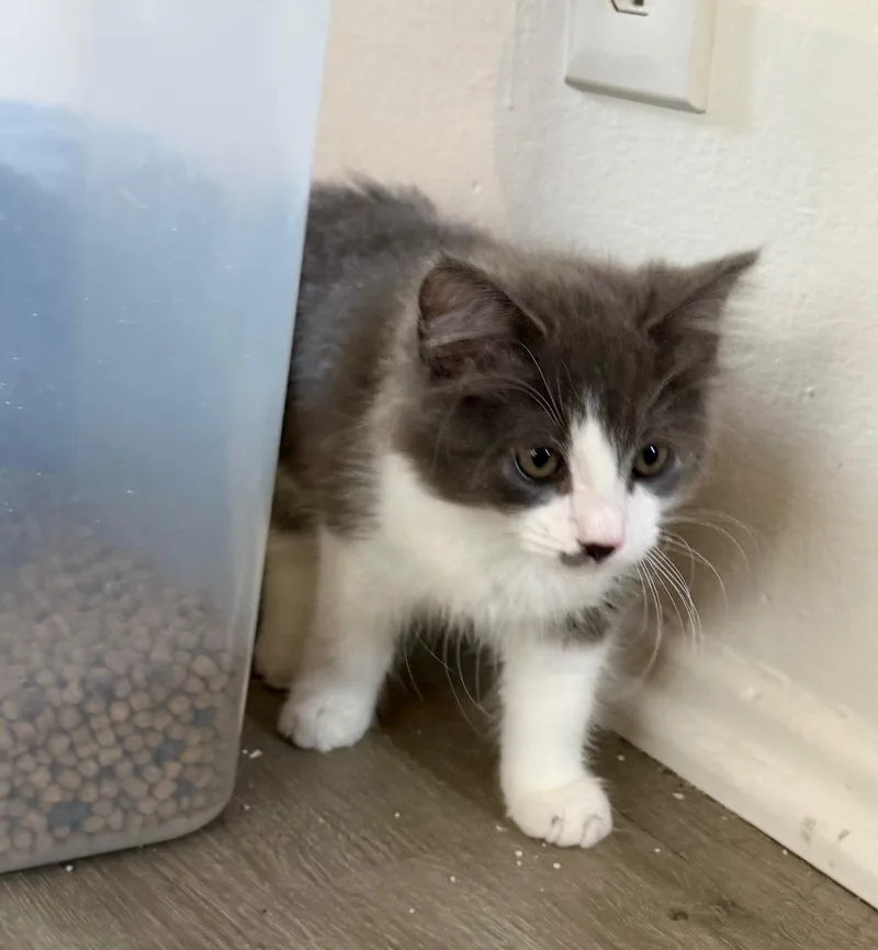 Jack & Jill thumbnail 5