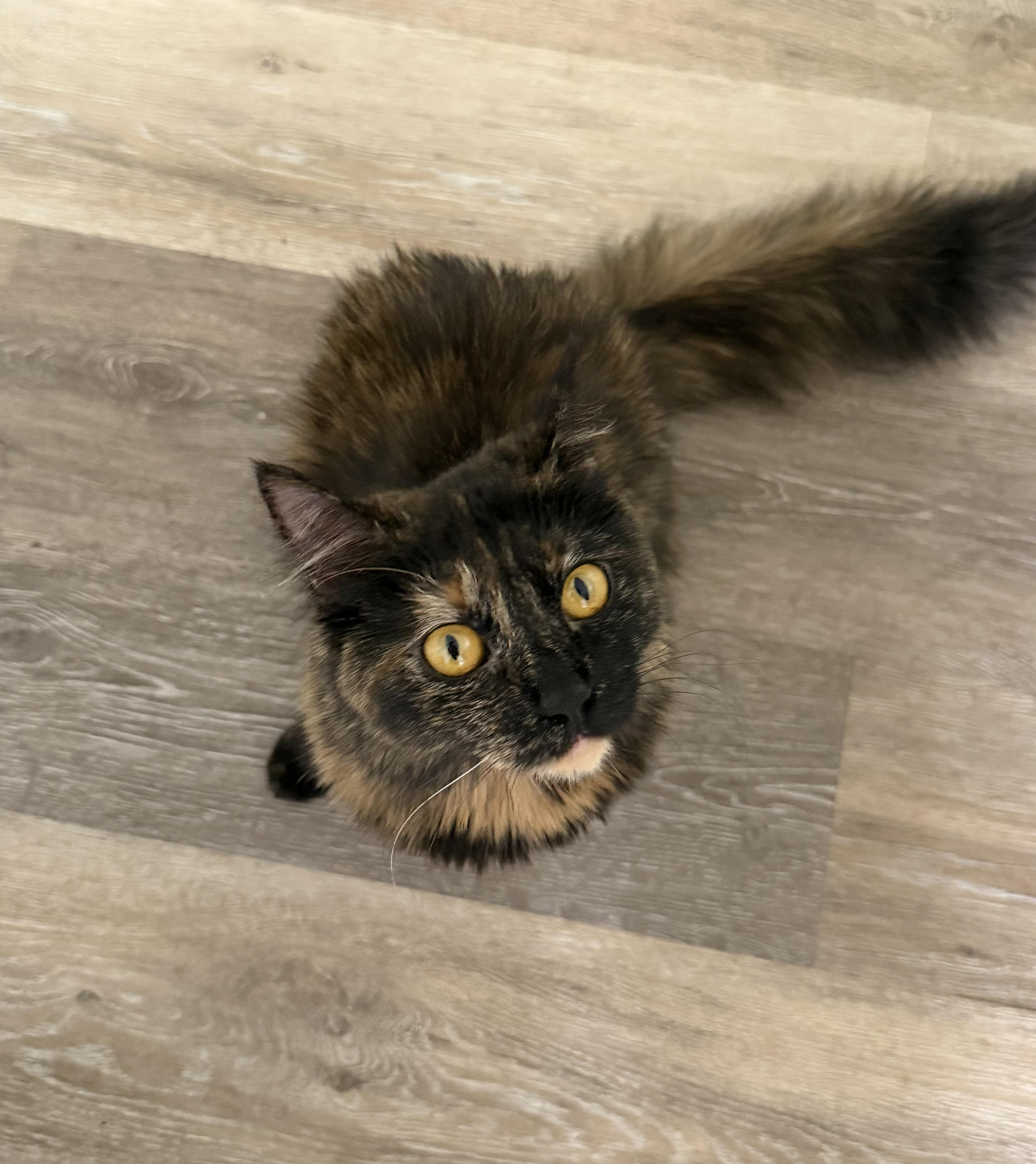 Grace thumbnail 2