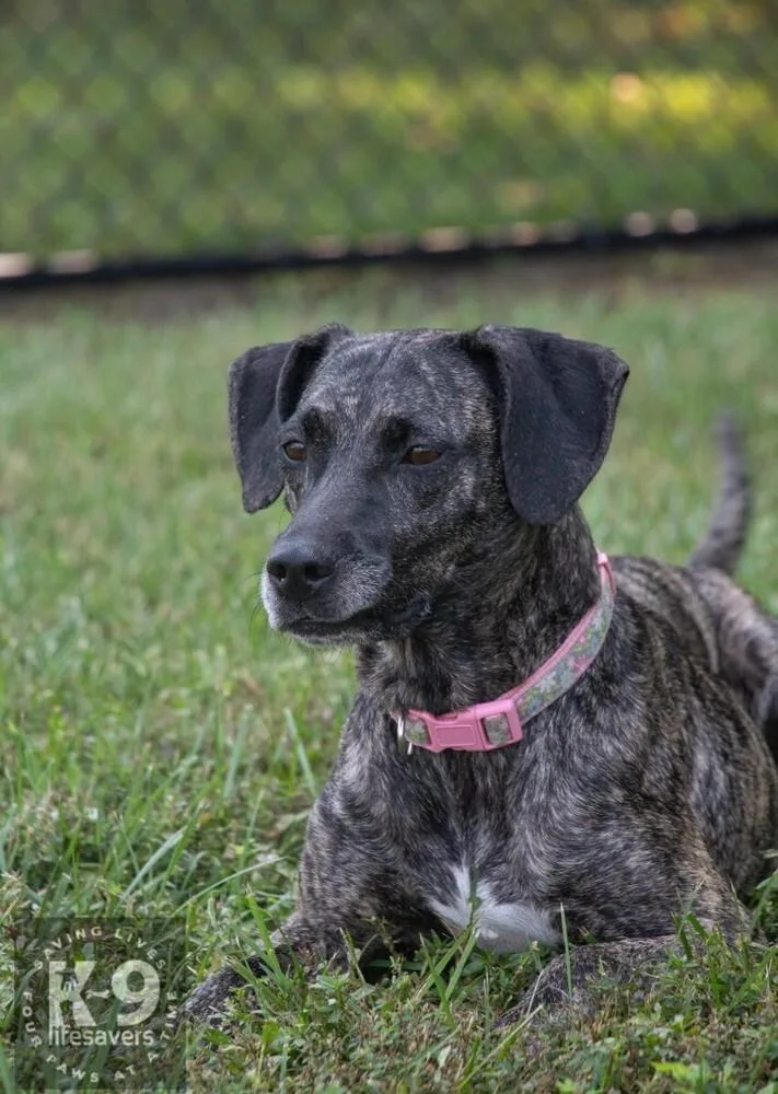 Maribelle thumbnail 4