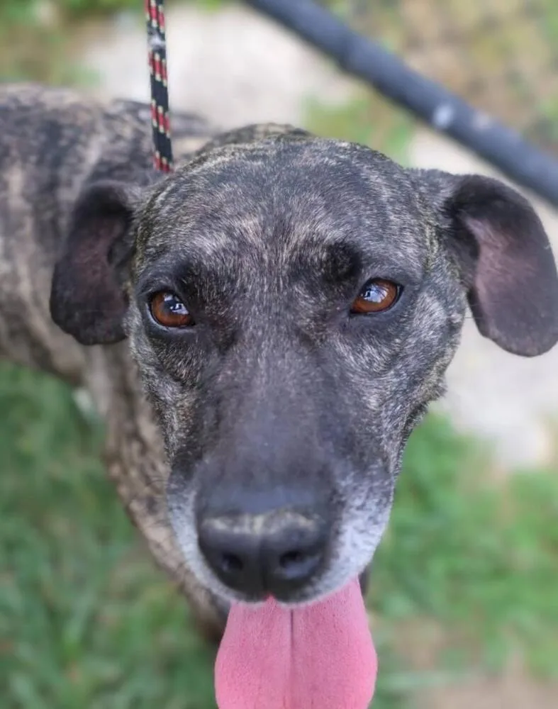 Maribelle thumbnail 5