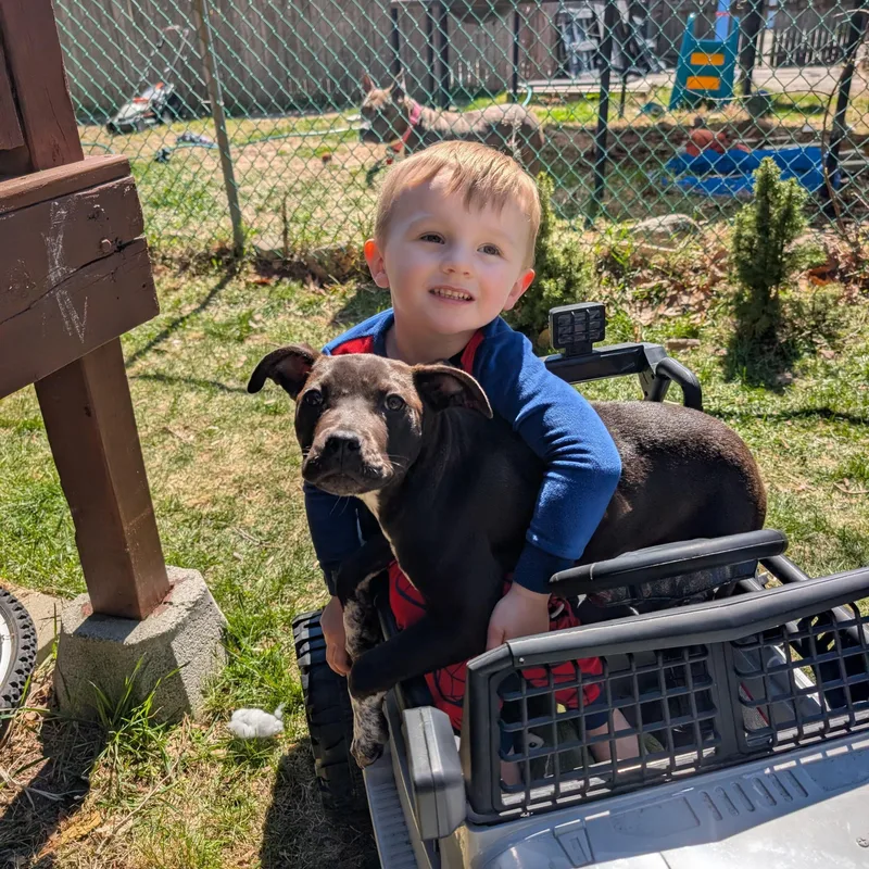 Mint Chip thumbnail 2