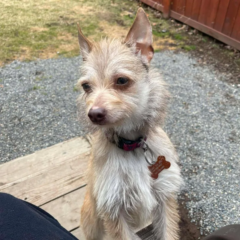 Little One thumbnail 3