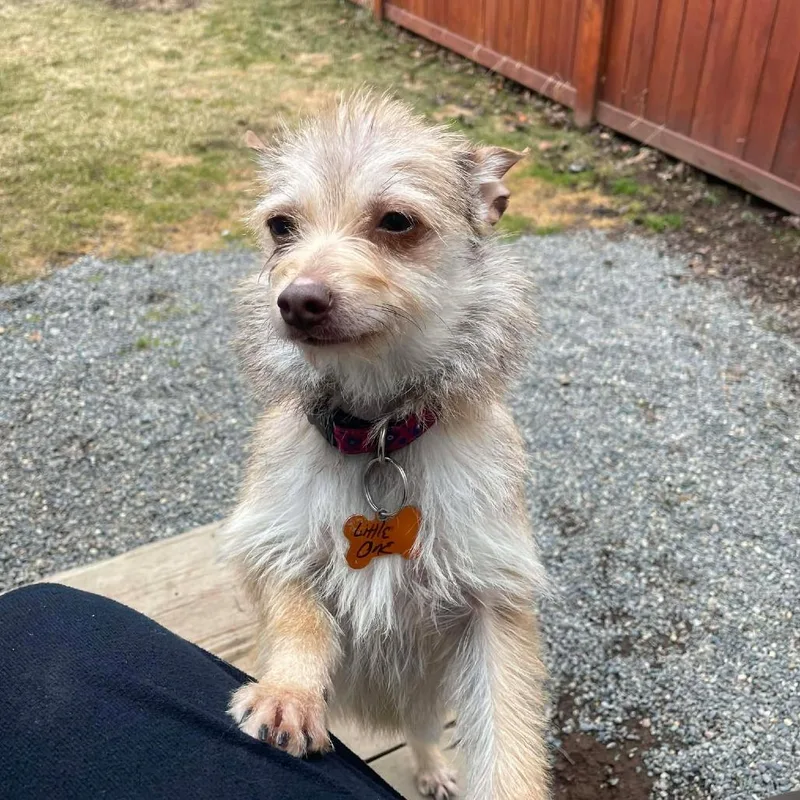 Little One thumbnail 4