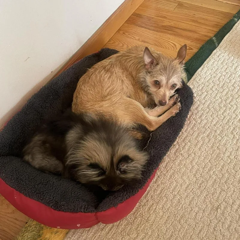 Little One thumbnail 6