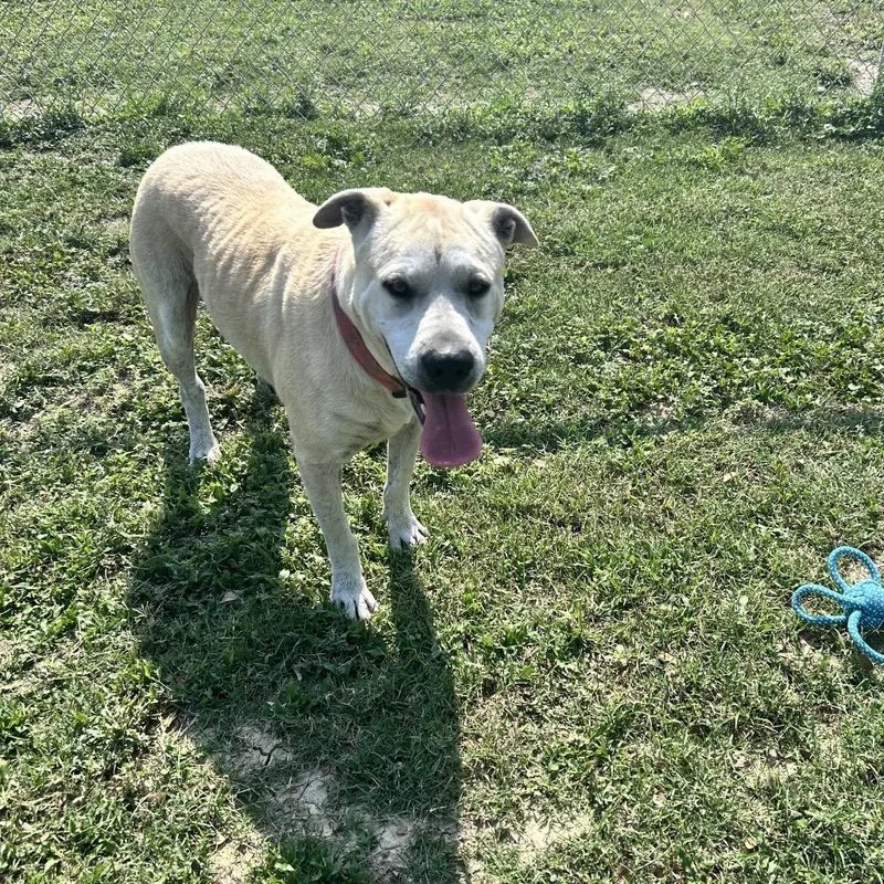 Daisy Mae thumbnail 5