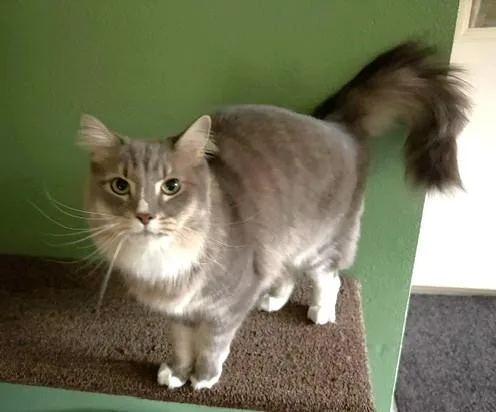 Gracie thumbnail 2