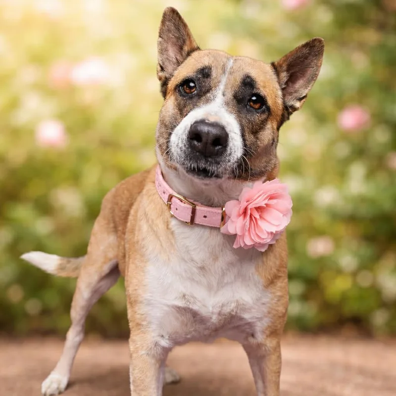 Faith Gs thumbnail 4