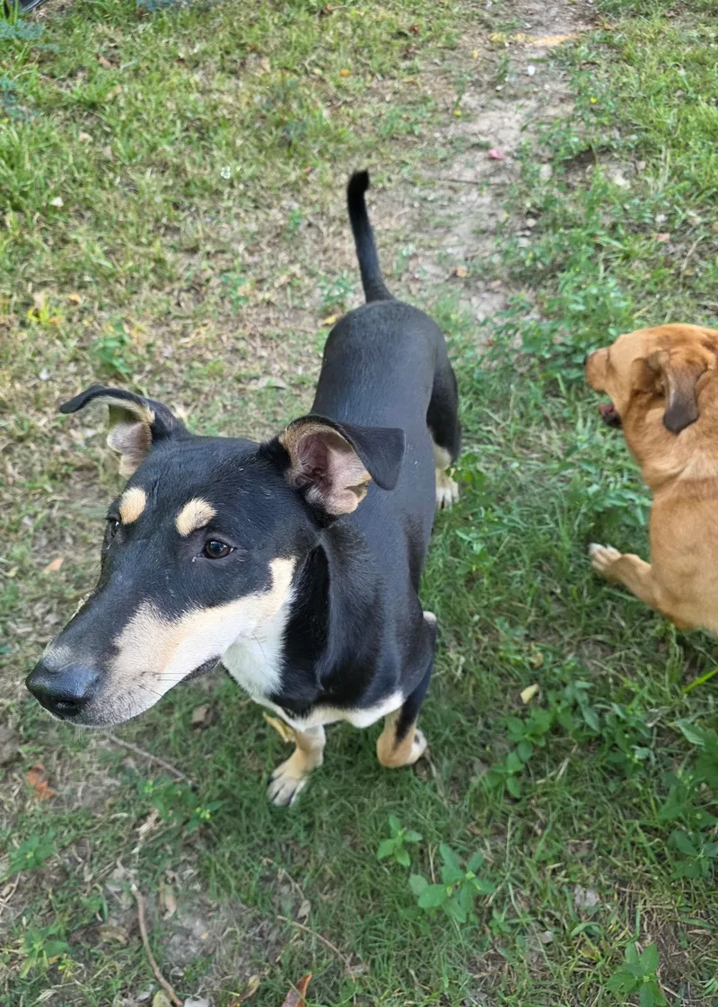 Beyonce thumbnail 6