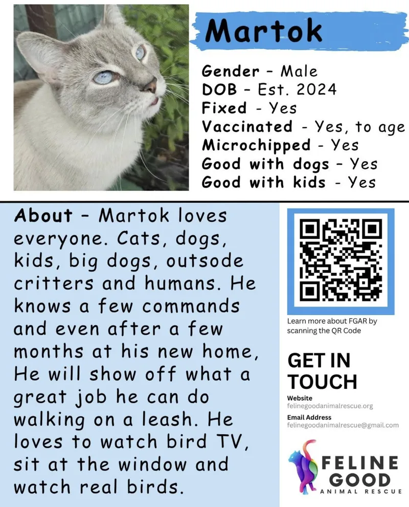 Martok thumbnail 3