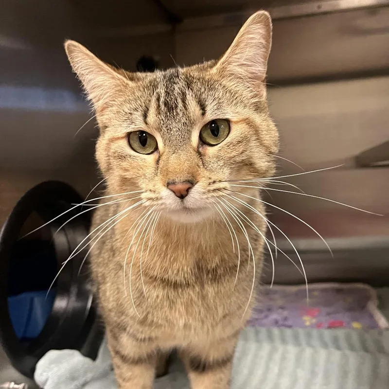 Mary Poppins thumbnail 3