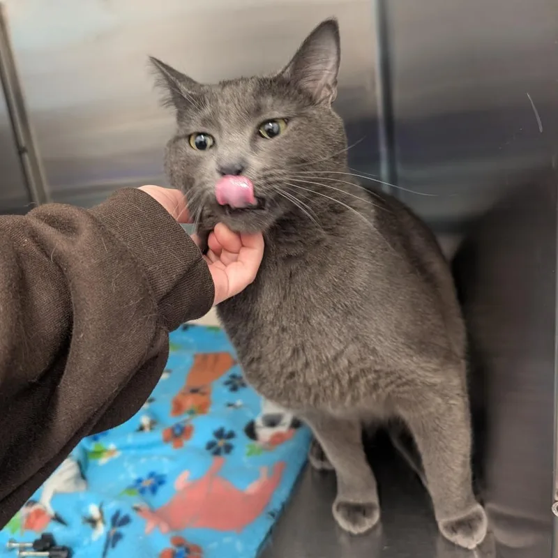 Mr. Hyde thumbnail 4