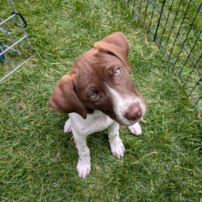 Shenandoah thumbnail 6