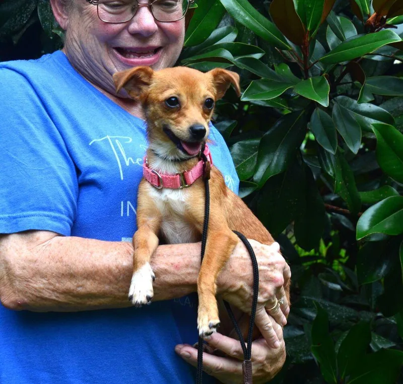 Pippi thumbnail 3