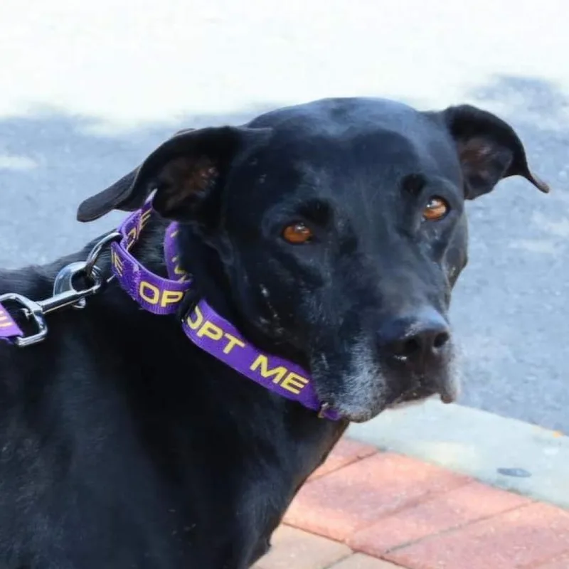 Harper Jum thumbnail 2