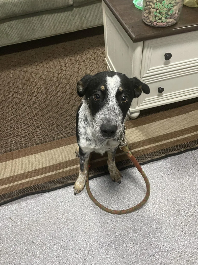 Sophia Grace thumbnail 2