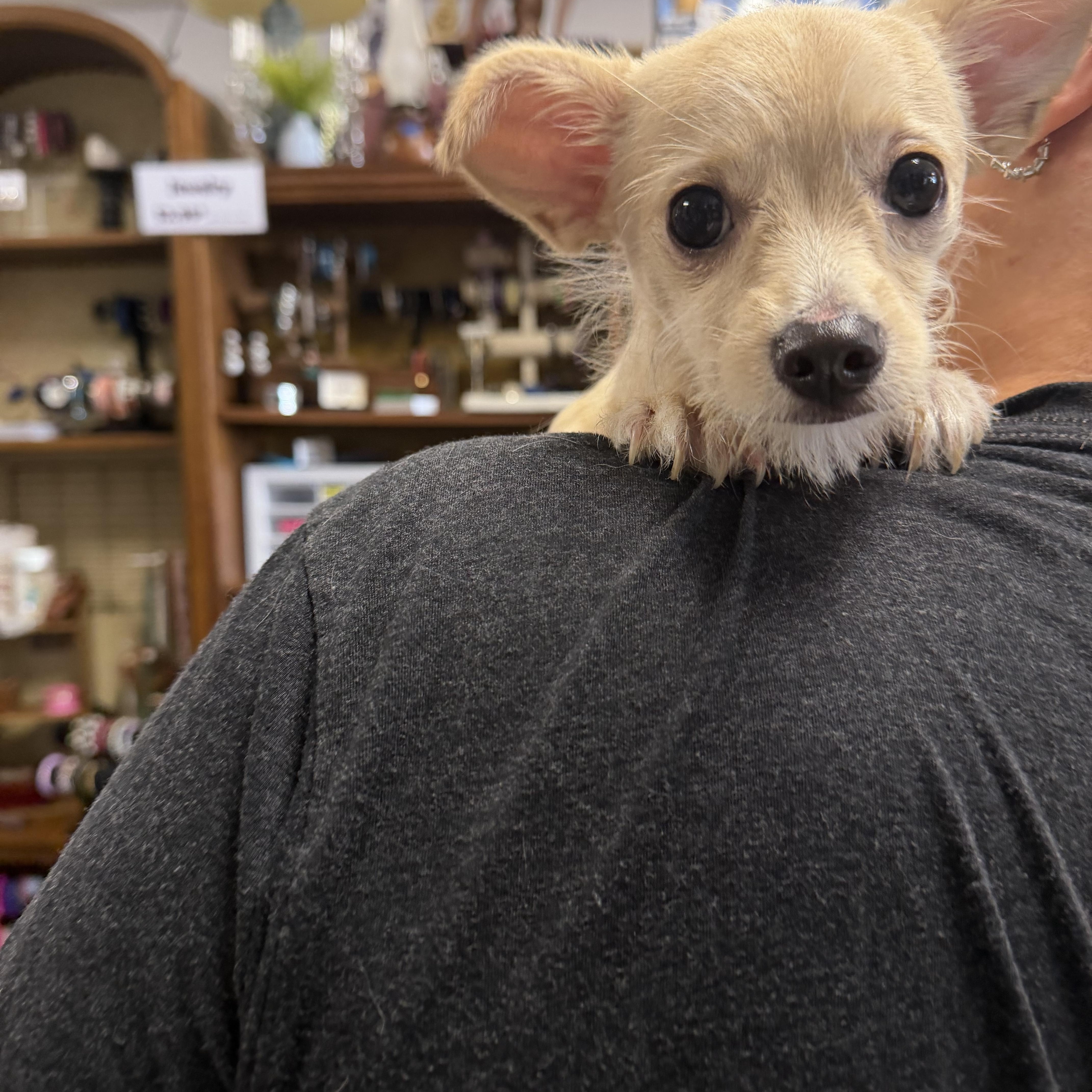 Cuteness thumbnail 2