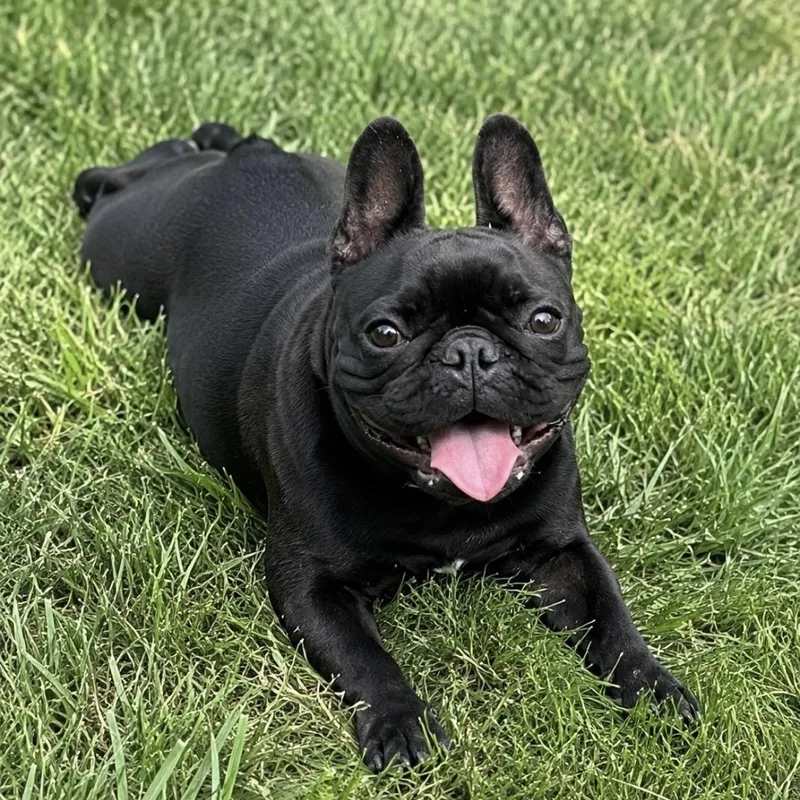 Tilly