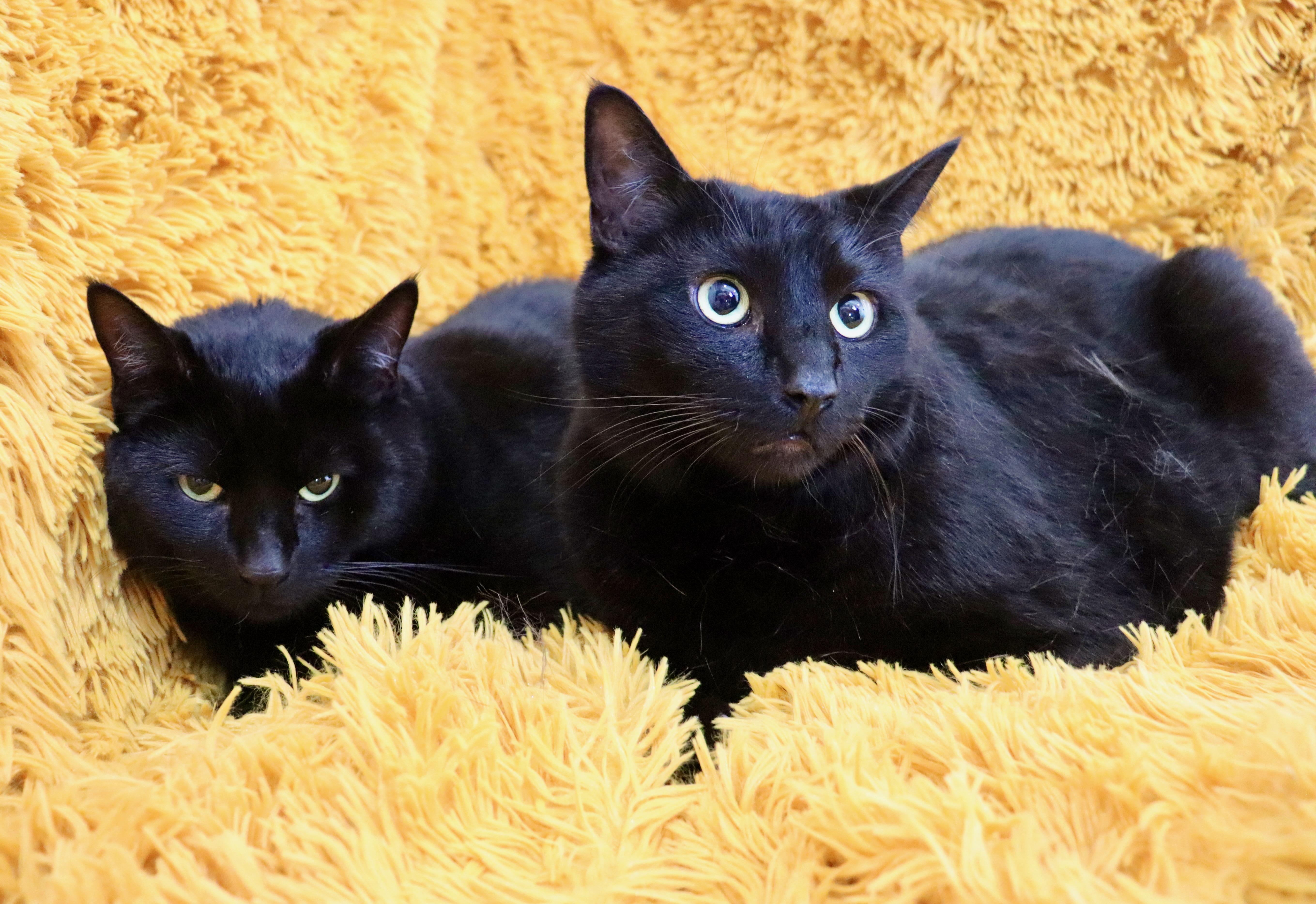 Ellie And Louie thumbnail 5