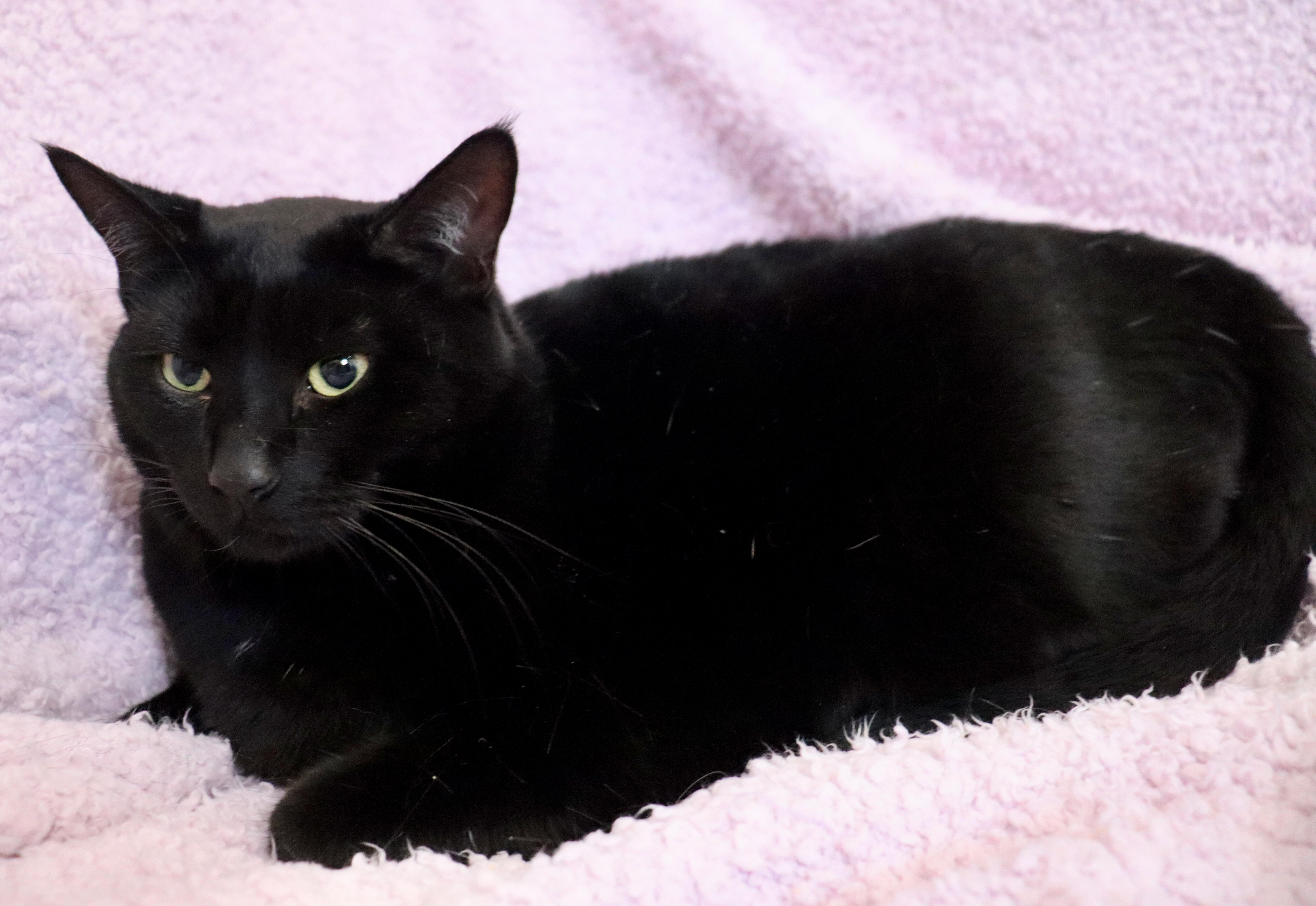 Ellie And Louie thumbnail 6