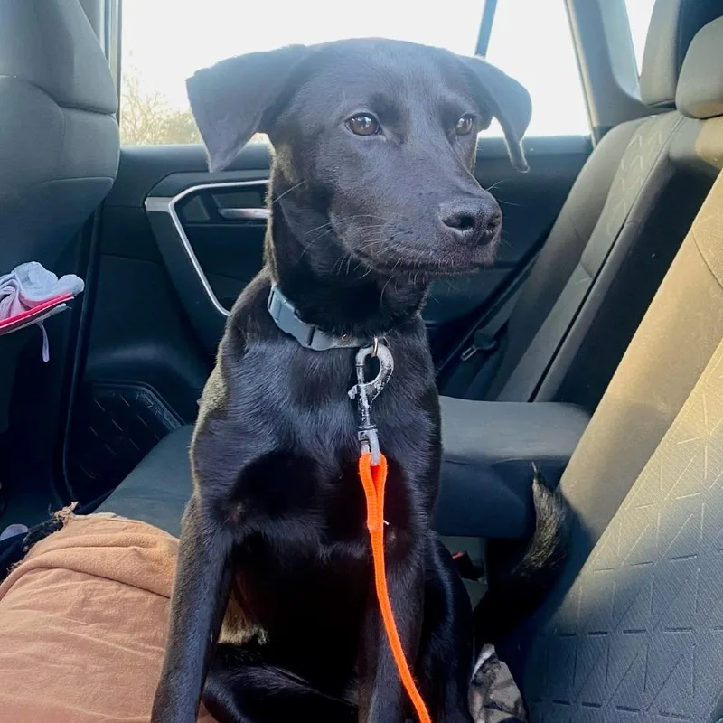 Princess thumbnail 3