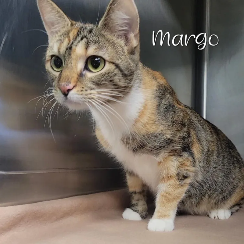 Margo